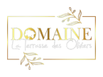 Domaine La Terrasse Des Oliviers Seminaire Le Mans Logo